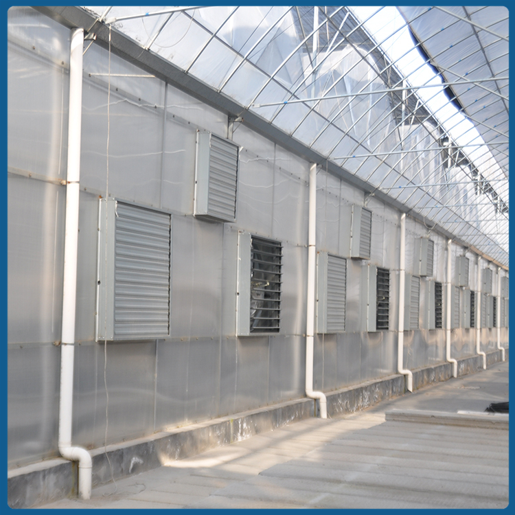 连栋薄膜温室建设 山东蔬菜大棚 整体设计安装