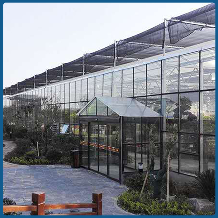 阳光大棚 山东智能玻璃温室建造