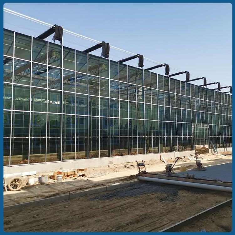 玻璃温室 蔬菜智能温室建设 赫梵建设温室工程