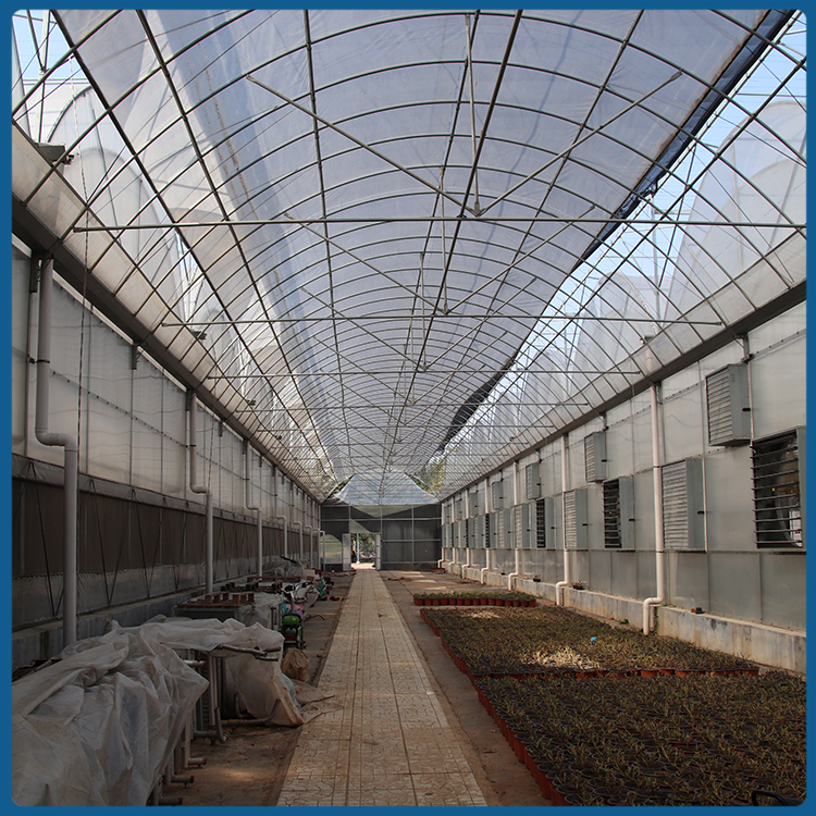 连栋薄膜温室建造 山东温室工程承建 服务周到