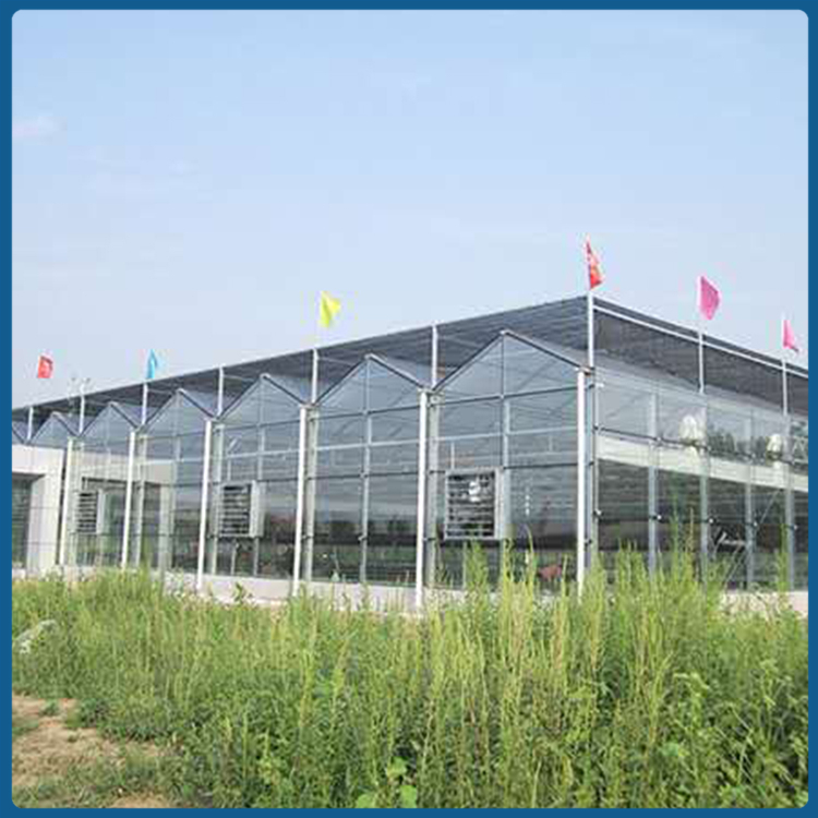 玻璃温室建造 上门搭建 种植大棚