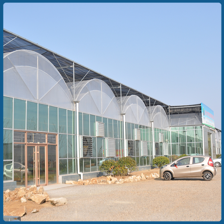 赫梵温室建设公司 连栋薄膜温室设计 山东蔬菜薄膜大棚