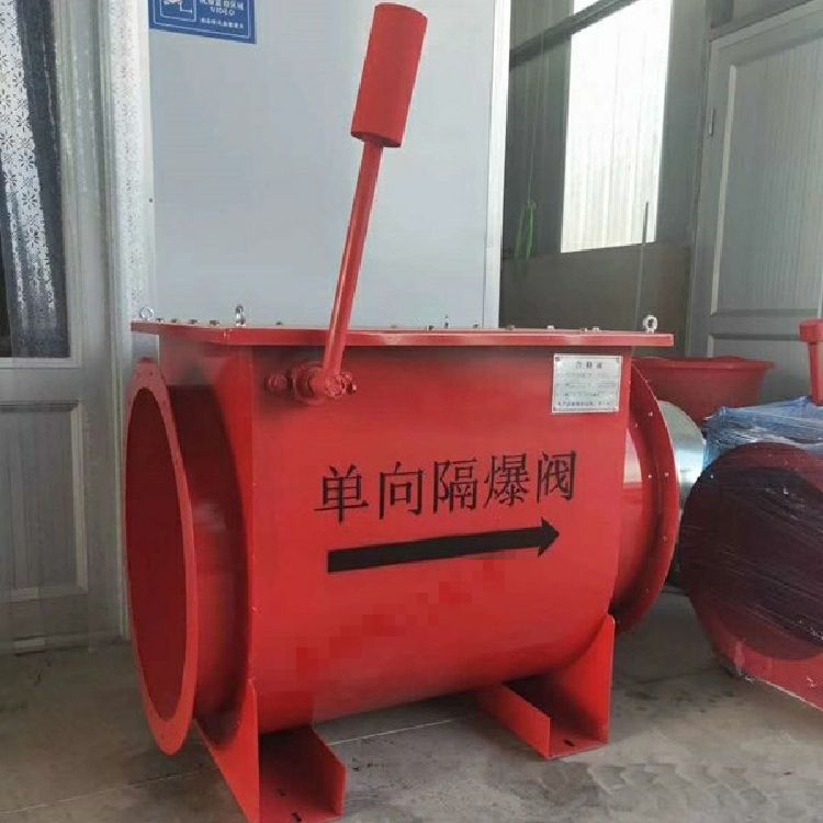 单向隔爆阀 气动蝶阀气缸拆解图 单向止回阀 水管单向止回阀 单向止回阀图片
