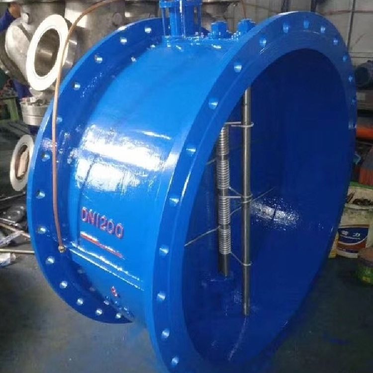 不锈钢弹簧缓闭式止回阀BSH7o46XB-10C 不锈钢止回阀 锻钢止回阀