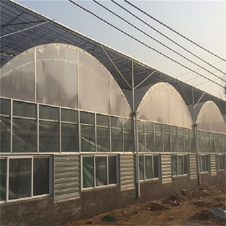 鑫创设计连栋温室  实地考察测量设计 增加土地利用率