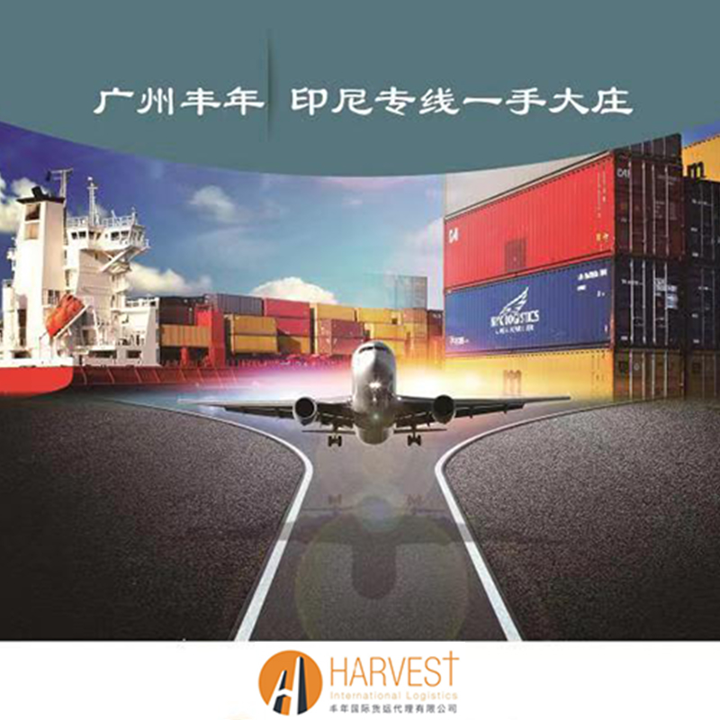 供应深圳发印尼双清到门空运快递