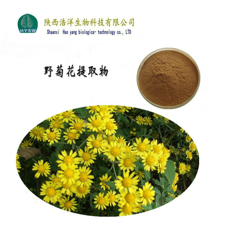 野菊花黄酮优惠供应 植物提取物 野菊花浸膏粉 陕西浩洋厂家