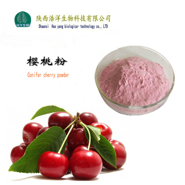 西安樱桃粉价格 植物果粉 陕西浩洋 樱桃汁粉 樱桃果粉批发包邮