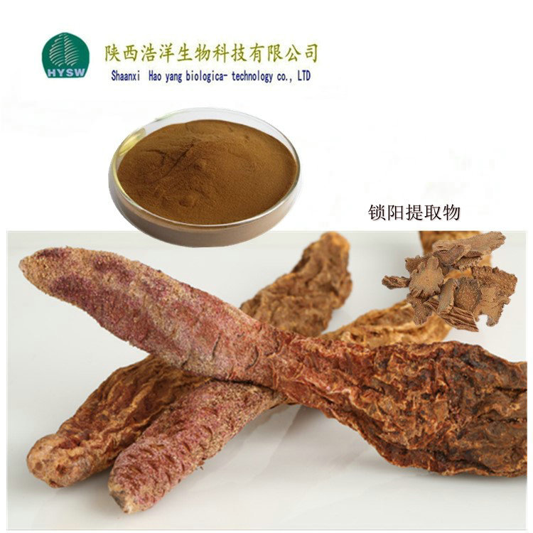 锁阳提取物批发 酒溶锁阳提取物定制 浓缩锁阳浸膏粉优惠供应