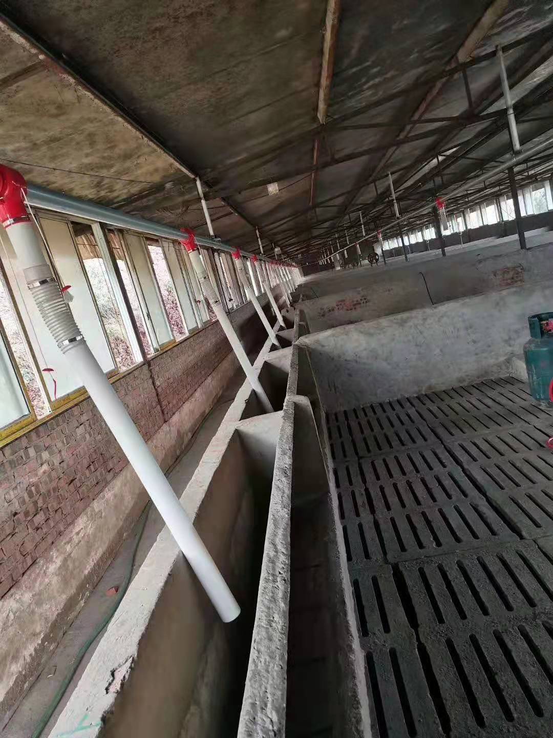 猪舍养殖设备塞盘料线猪舍自动喂料系统全自动一体化上料机