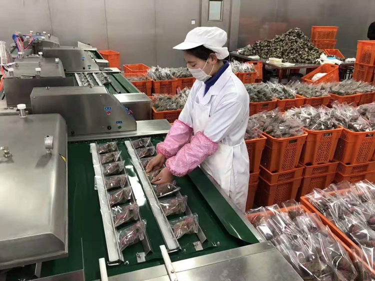 380V连续滚动包装机 玉米连续包装机 卤菜榨菜包装封口机