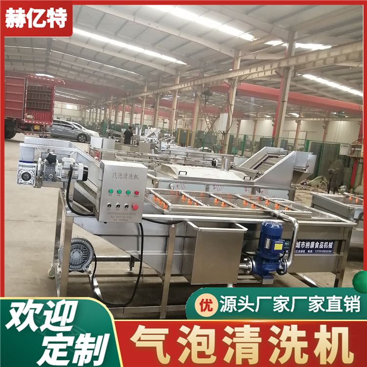 芦笋气泡清洗机 商用瓜果清洗设备 蔬菜清洗风干流水线  赫亿特机械