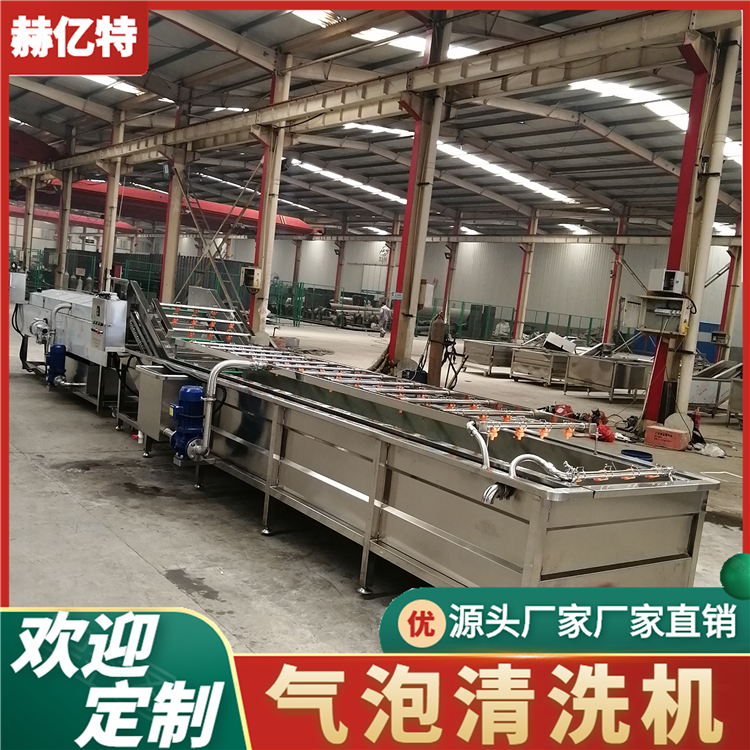全自动药材清洗烘干流水线 连续式白芍清洗机流水线 金银花气泡清洗机  赫亿特机械