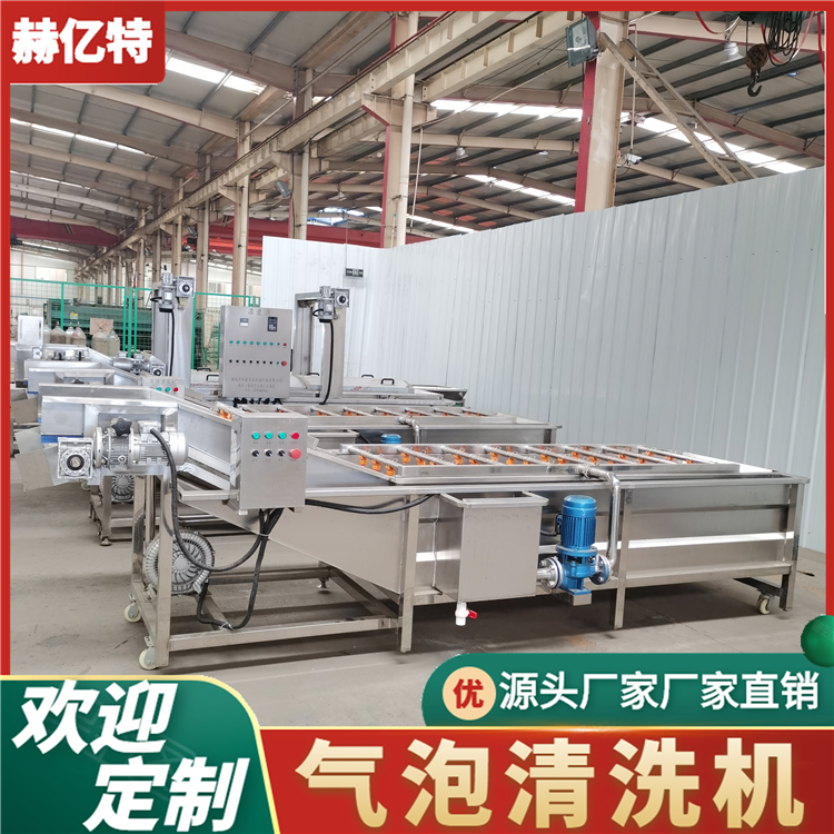 西红柿气泡清洗机 商用瓜果蔬菜清洗设备 中央厨房净菜加工流水线  赫亿特机械