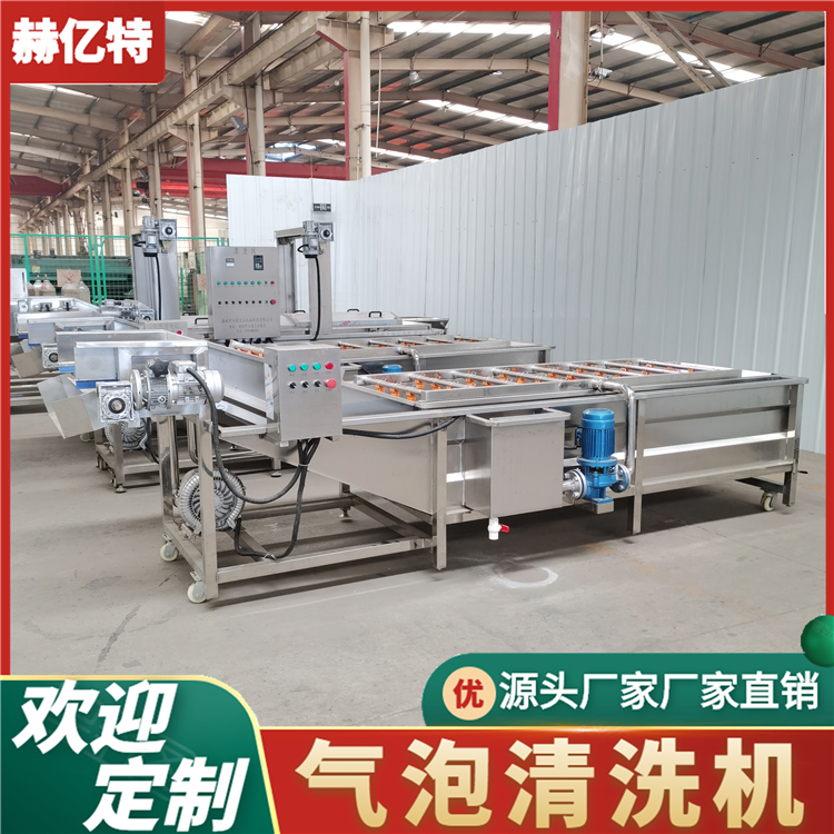 腌黄瓜气泡清洗机 商用瓜果蔬菜清洗设备 土豆净菜加工流水线  赫亿特机械