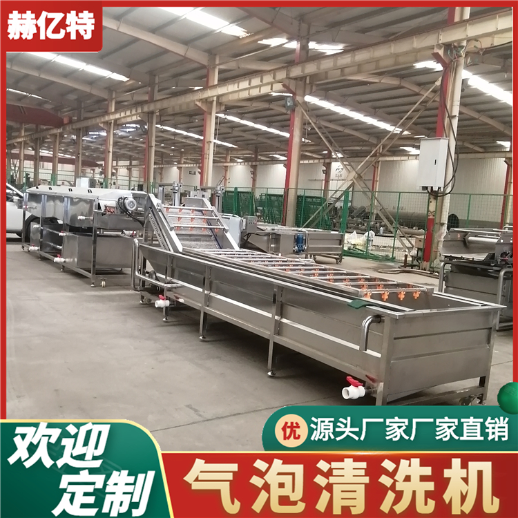 山野菜气泡清洗机 商用瓜果清洗设备 鱼腥草清洗风干流水线  赫亿特机械