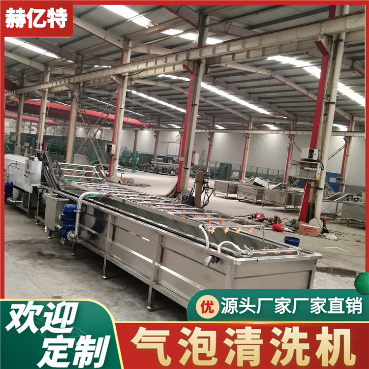 苹果气泡清洗机 西红柿清洗机 番茄气泡清洗机  赫亿特机械