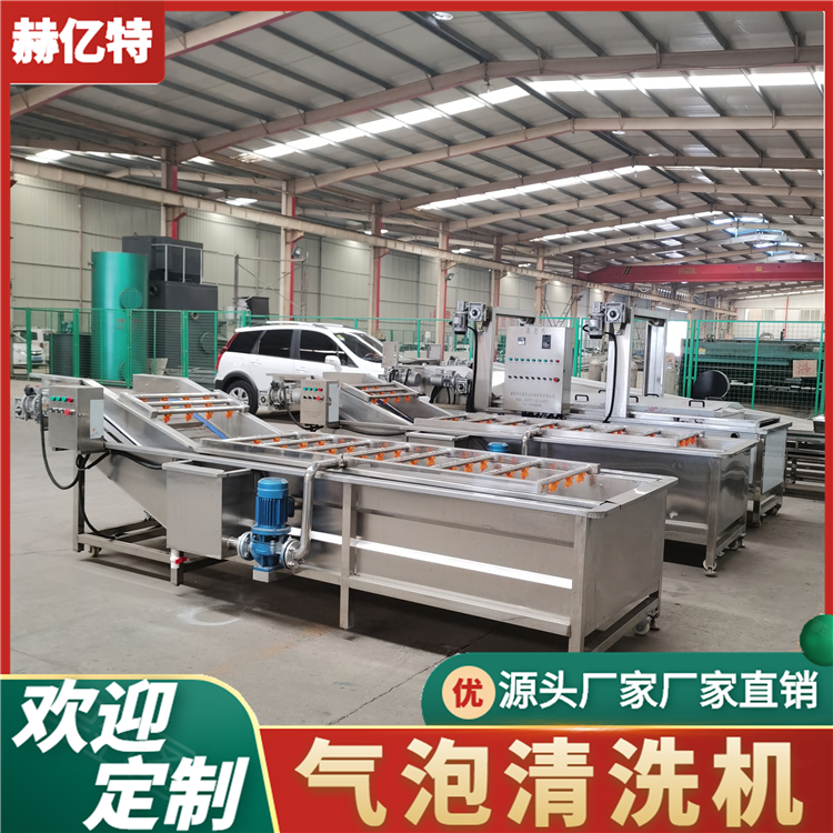 海鲜蔬菜气泡清洗机 中药材拆耳根气泡清洗机 蔬菜去弄残清洗设备  赫亿特机械