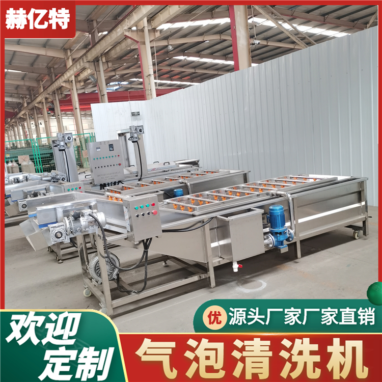 蓝莓果酱加工清洗机 全自动果蔬气泡清洗机 厨房洗菜机直供净菜加工流水线  赫亿特机械