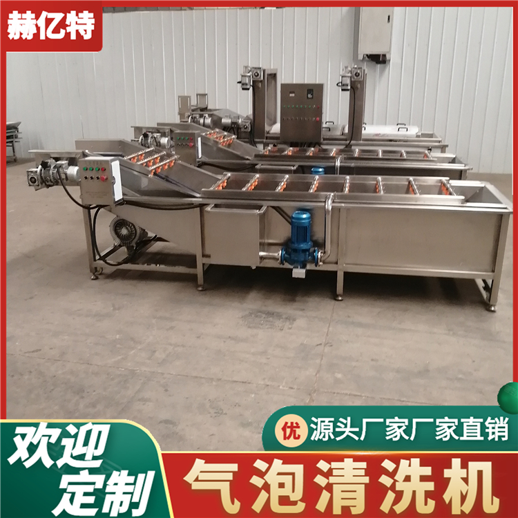 白芍气泡清洗机 金银花清洗机 中药材清洗烘干流水线  赫亿特机械