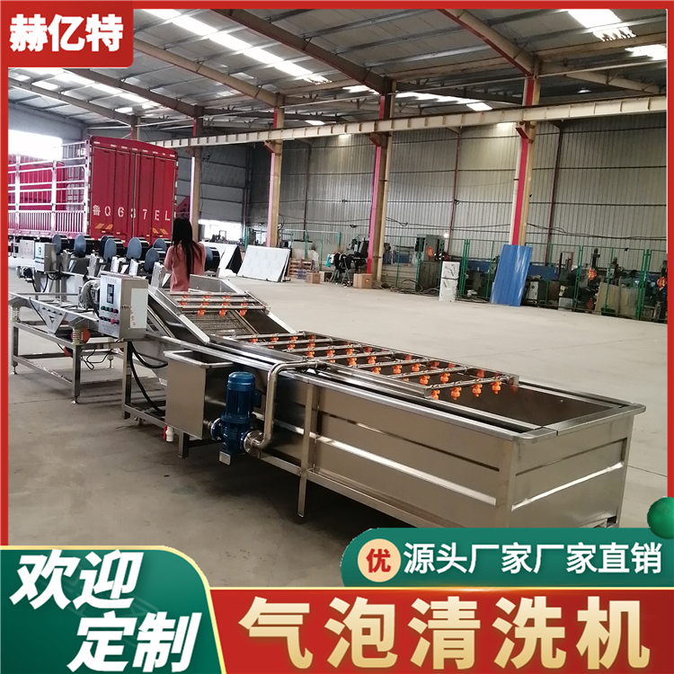 柳丁果蔬气泡清洗机 柠檬芒果清洗风干设备  蔬菜配送中心净菜加工流水线