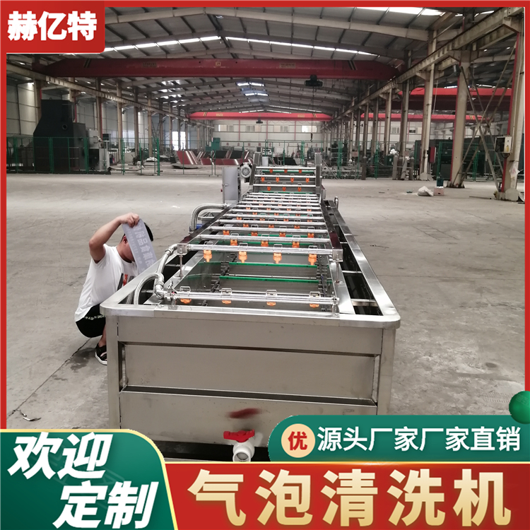 大型气泡清洗机 商用瓜果清洗设备 洗葡萄花椒豆角辣椒清洗流水线 大型洗菜机 赫亿特机械