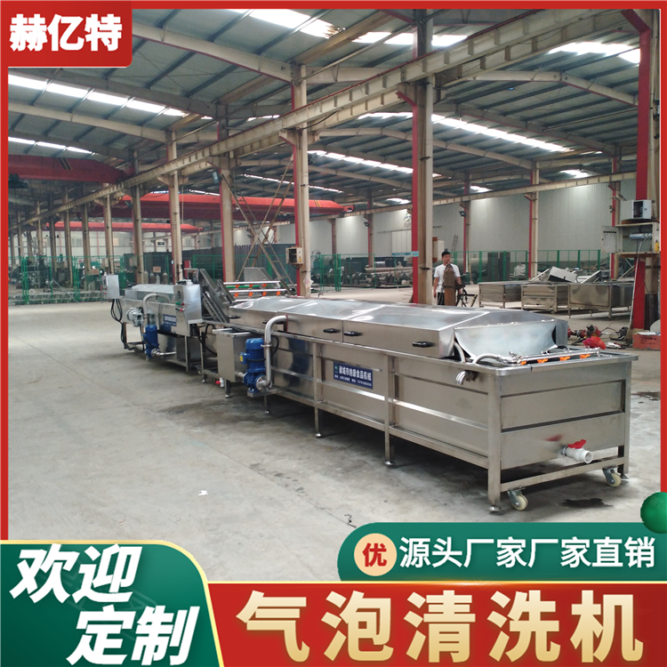 大型气泡清洗机 商用瓜果清洗设备 豆角辣椒清洗流水线  赫亿特机械