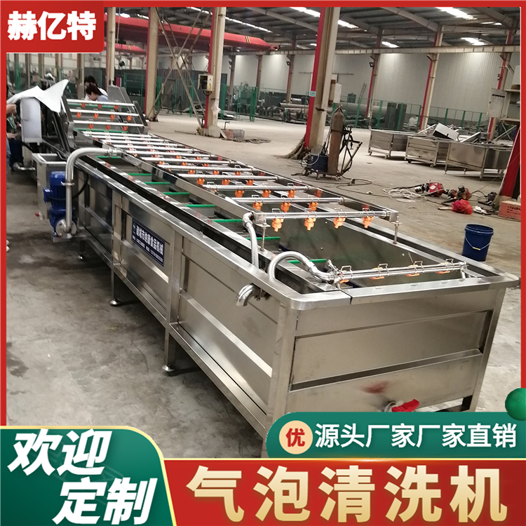大型山野菜气泡清洗机 商用瓜果清洗设备 荠菜清洗流水线  赫亿特机械