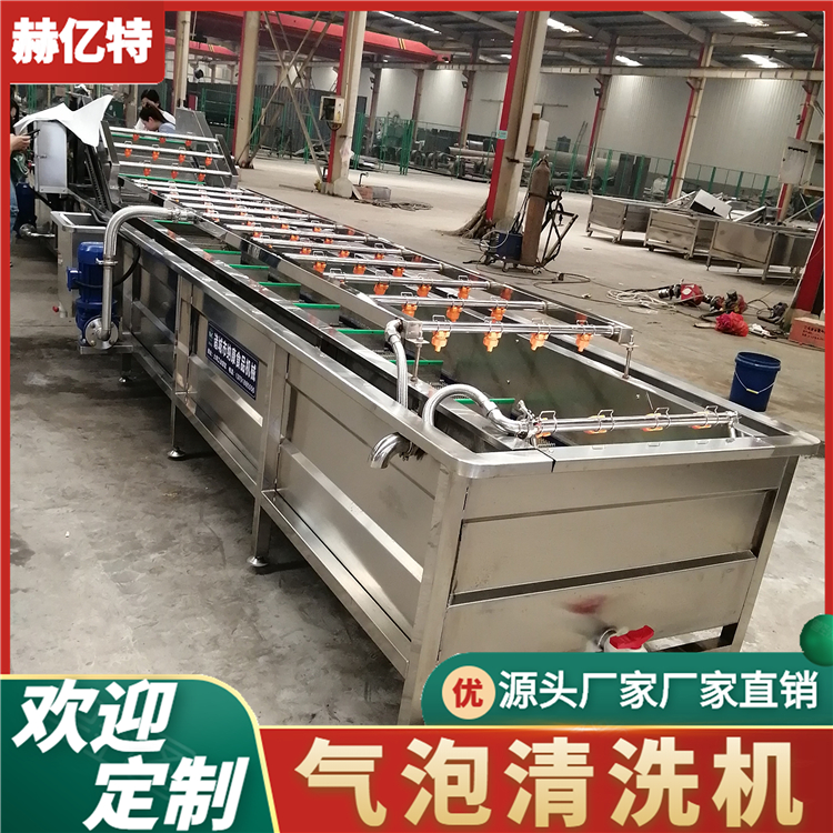 大型蔬菜气泡清洗机 商用瓜果清洗设备 洗葡萄花椒豆角辣椒机 大型洗菜机 赫亿特机械