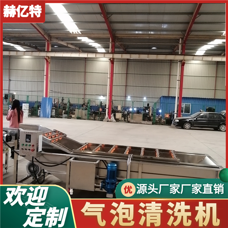 苹果果蔬气泡清洗机 脐橙柚子清洗风干设备  蔬菜配送中心净菜加工流水线