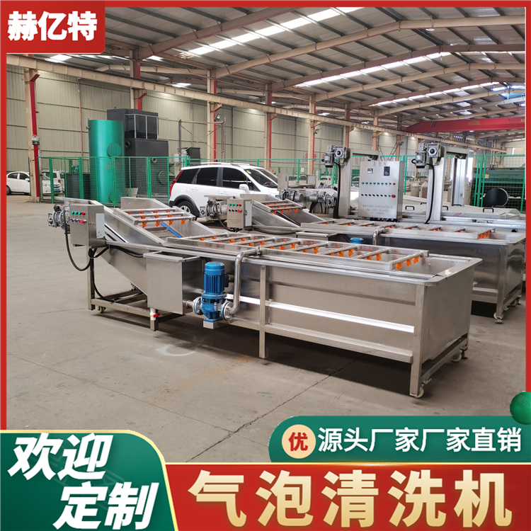 自动提升气泡清洗机 毛桃黄桃清洗机 高压喷淋毛桃黄桃清洗机 净菜加工设备  赫亿特机械