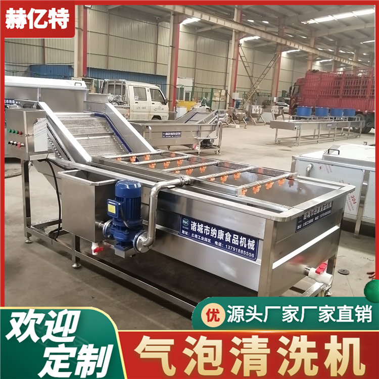 黄瓜气泡清洗机 商用瓜果蔬菜清洗设备 配送中心净菜加工流水线  赫亿特机械