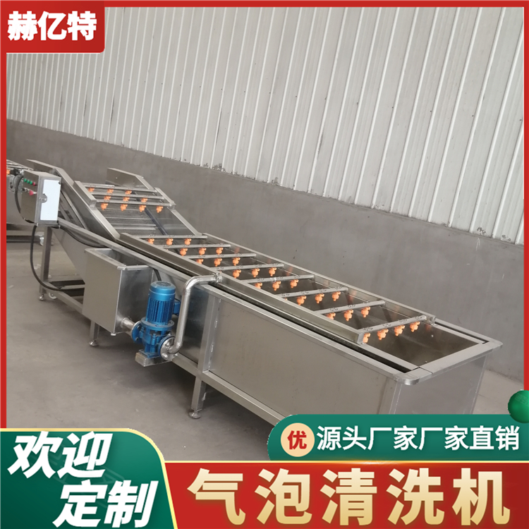 番茄胡萝卜水果蔬菜气泡清洗机 定制果蔬清洗设备 大型洗菜机  赫亿特机械