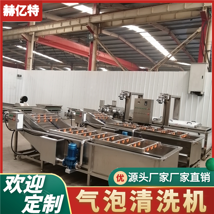 蘑菇清洗机 香菇清洗风干深加工流水线  赫亿特机械