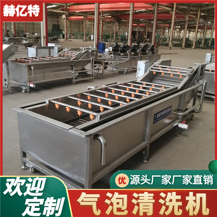 全自动鲜姜清洗机 不锈钢气泡清洗设备 山楂清洗流水线  赫亿特机械