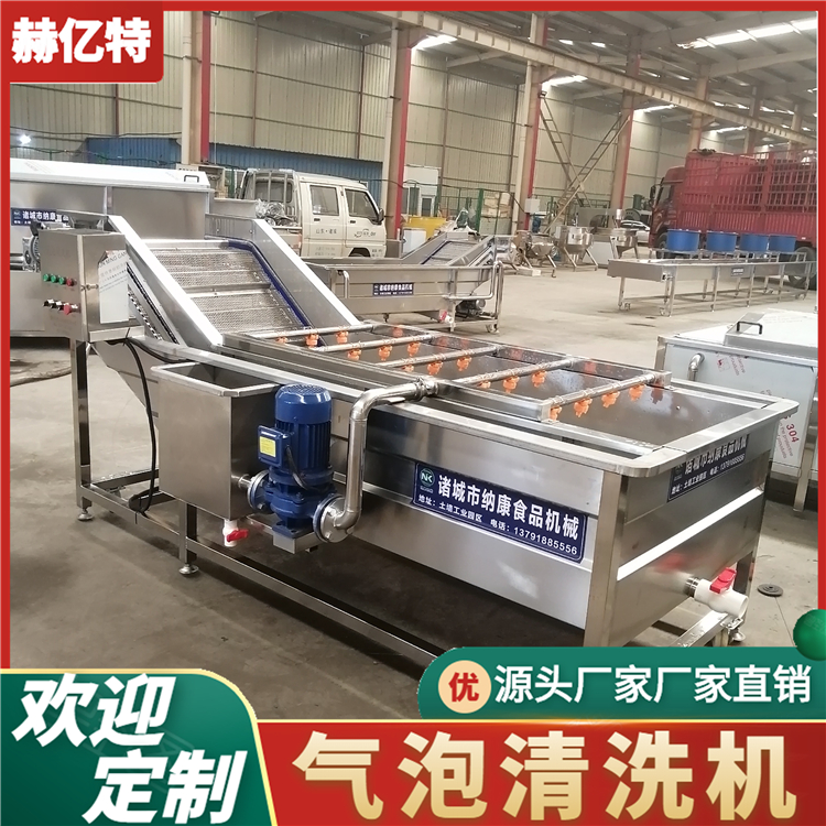 葡萄气泡清洗机 商用瓜果蔬菜清洗设备 配送中心净菜加工流水线  赫亿特机械