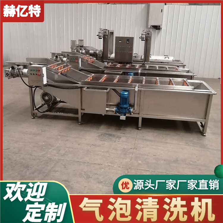 叶菜清洗设备 山野菜清洗流水线  赫亿特机械