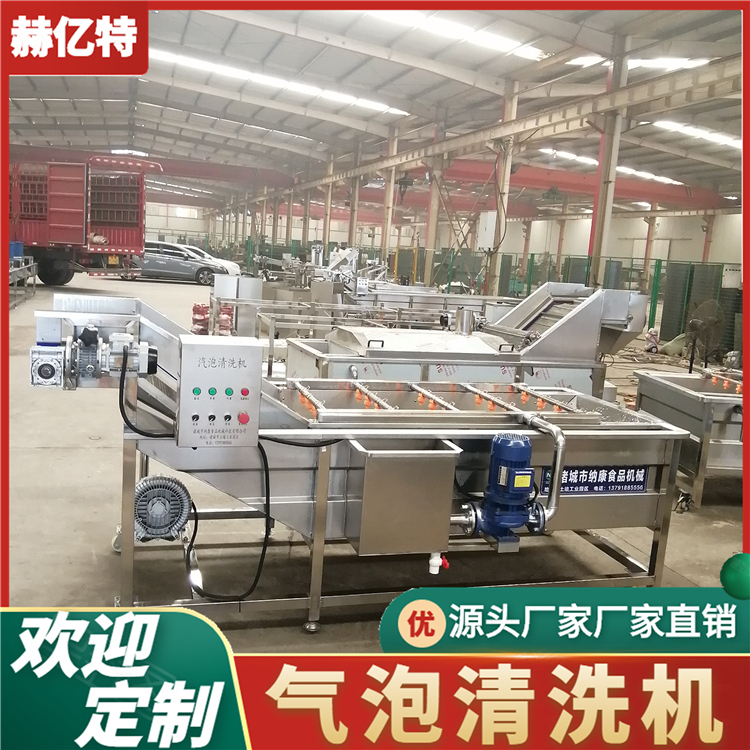 海产品气泡清洗机 商用瓜果蔬菜清洗设备 配送中心净菜加工流水线  赫亿特机械