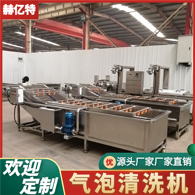蔬菜气泡清洗机 多种叶类果蔬清洗机 全自动翻浪式气泡清洗机 赫亿特机械