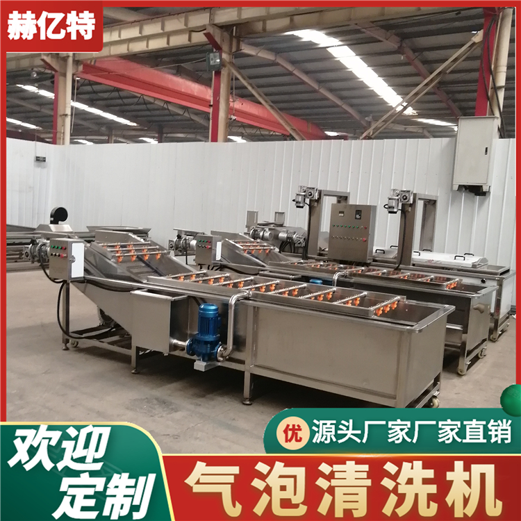 多功能水果清洗机 土豆气泡清洗机 鼓泡式果蔬清洗机 赫亿特机械