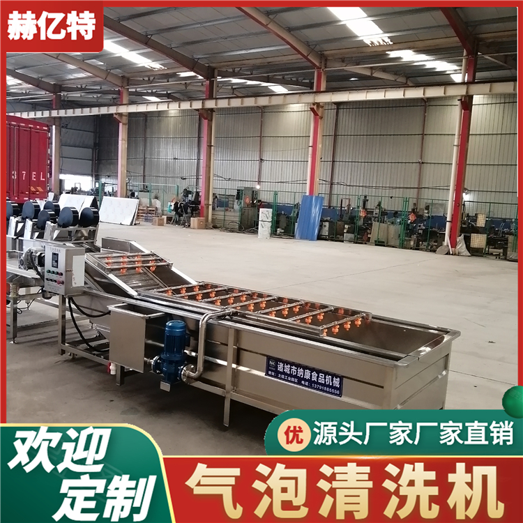 牛油果果蔬气泡清洗机 橙子蓝莓清洗风干设备  蔬菜配送中心净菜加工流水线