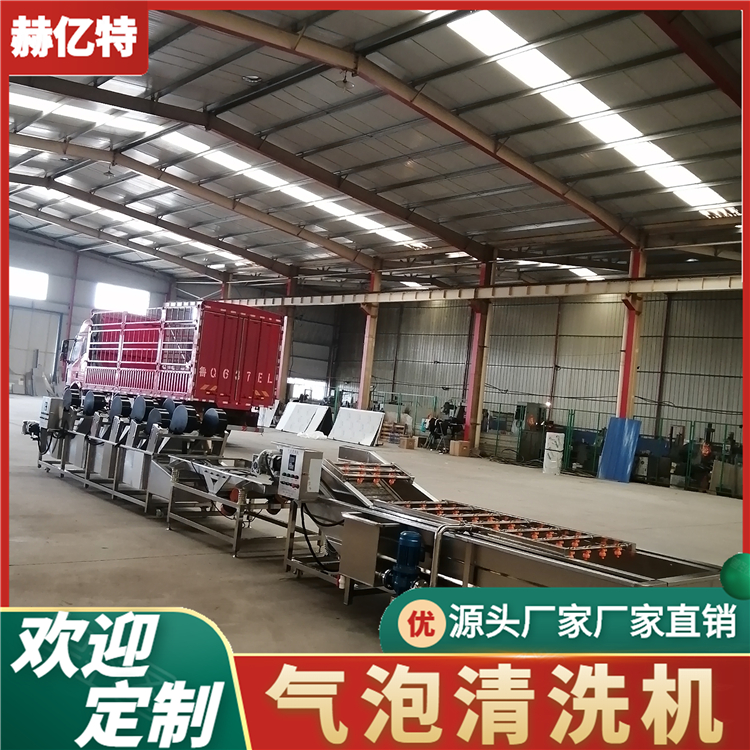 金桔果蔬气泡清洗机 柑橘脐橙清洗风干设备  蔬菜配送中心净菜加工流水线