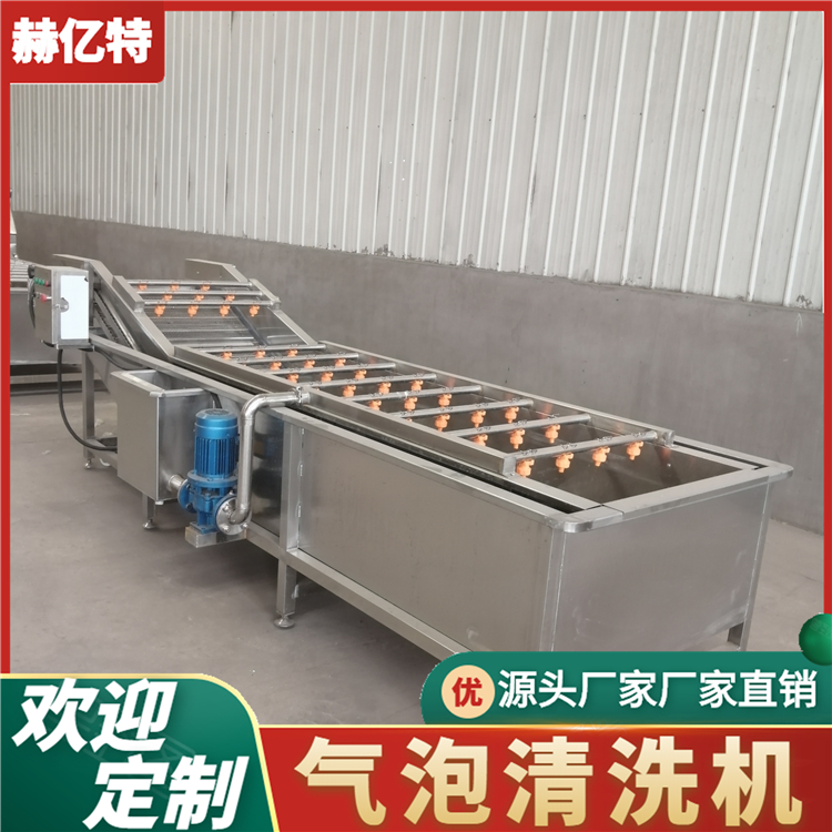 定制各类水果蔬菜气泡清洗设备 定制小葱高压冲洗去皮清洗机 洗菜机  赫亿特机械