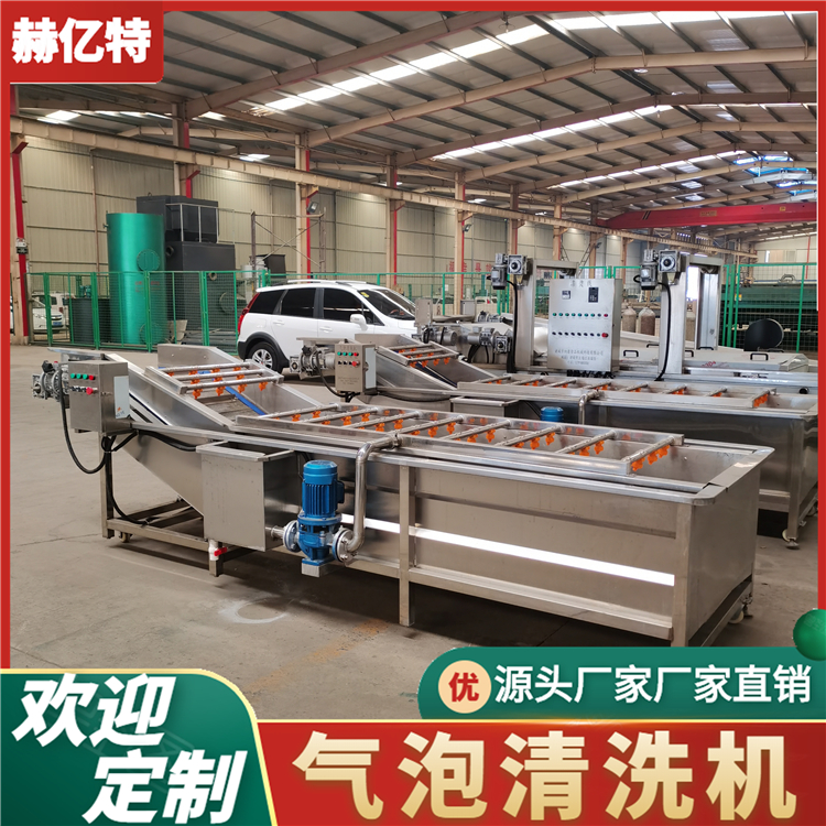 叶菜气泡清洗机 土豆果蔬清洗机  中央厨房净菜加工流水线  赫亿特机械