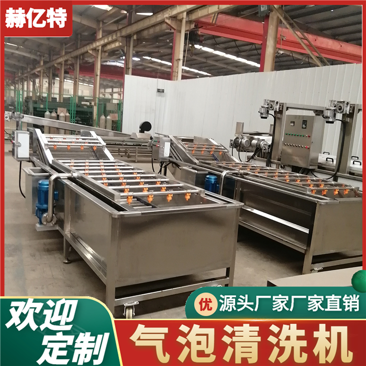 橄榄菜果蔬清洗机 紫甘蓝清洗设备 蔬菜清洗风干流水线  赫亿特机械
