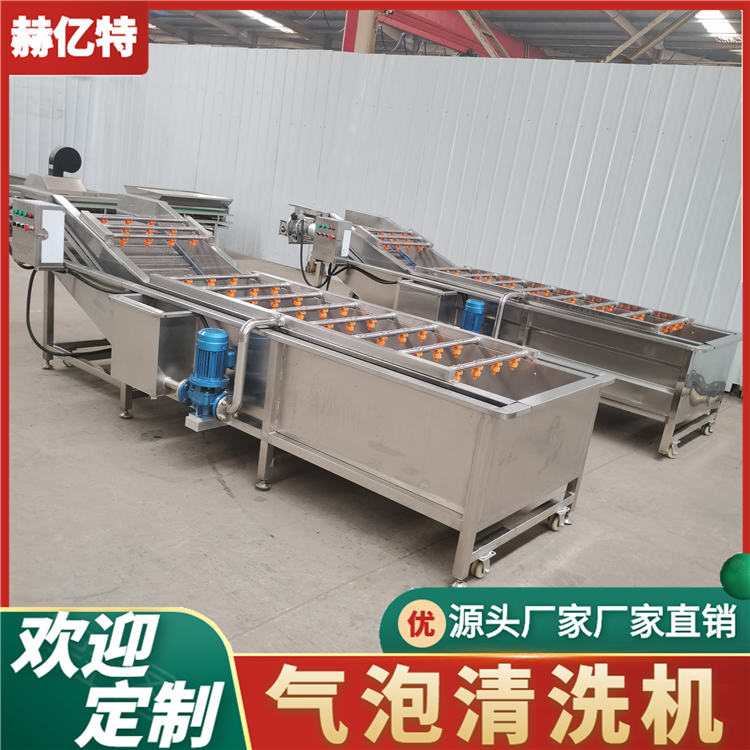 香椿气泡清洗机 荷兰豆清洗机器 芸豆高压喷淋清洗机设备 赫亿特机械