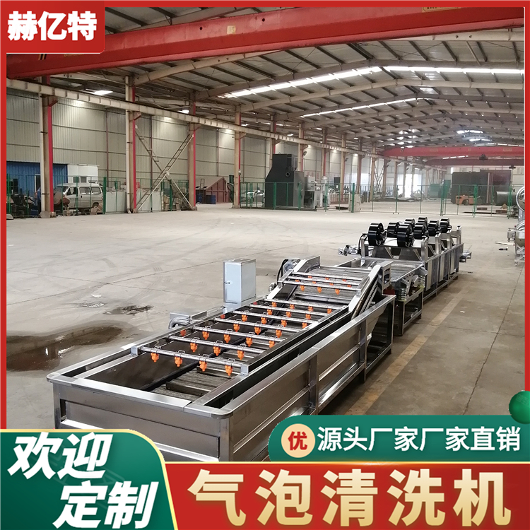 果蔬清洗机 大型果蔬清洗机 全自动翻浪式气泡清洗机 蔬菜清洗设备质保一年  赫亿特机械