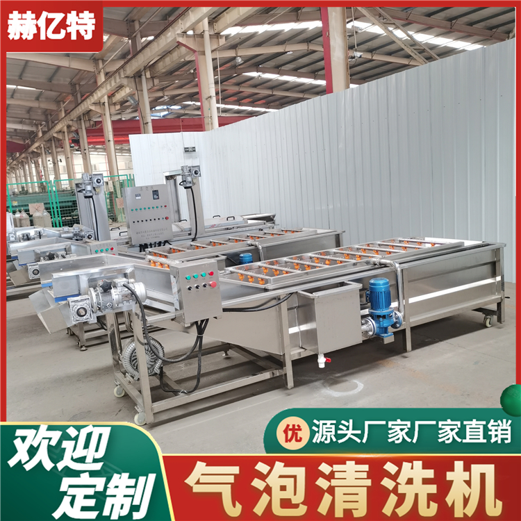蓝莓气泡清洗机 商用瓜果蔬菜清洗设备 配送中心净菜加工流水线  赫亿特机械