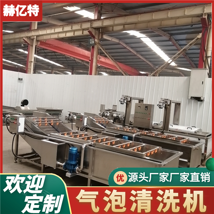 供应果蔬清洗机 生菜茄子多功能气泡清洗机 全自动果蔬清洗机 赫亿特机械
