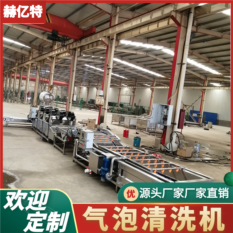 榨菜气泡清洗机 食品包装袋清洗风干设备 大型净菜加工流水线 质保一年  赫亿特机械
